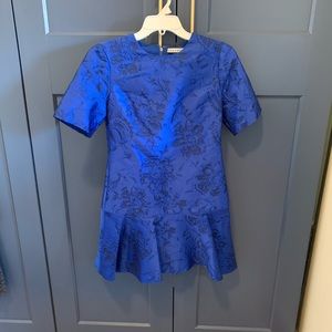 Alice and Olivia Esther silk blue brocade dress